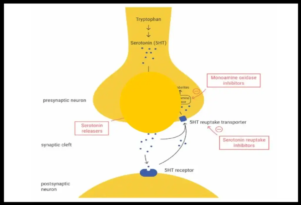 communication neural networks