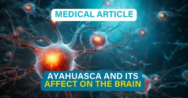 how does ayahuasca affect the brain