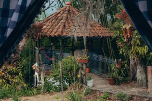 office ayahuasca retreat