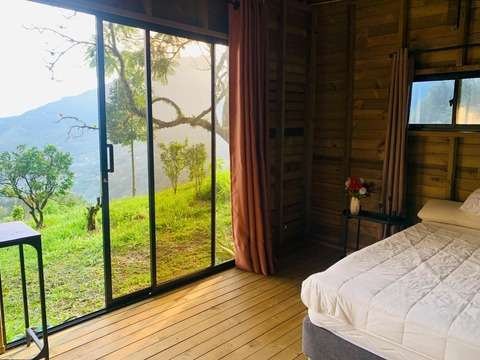 private jungle cabin harmonica ayahuasca retreat