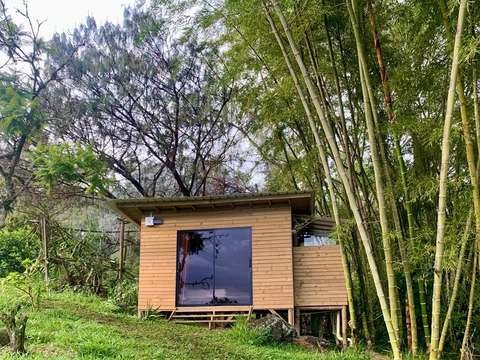 private jungle cabin nature harmonica ayahuasca retreat