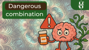blog ayahuasca and ssri
